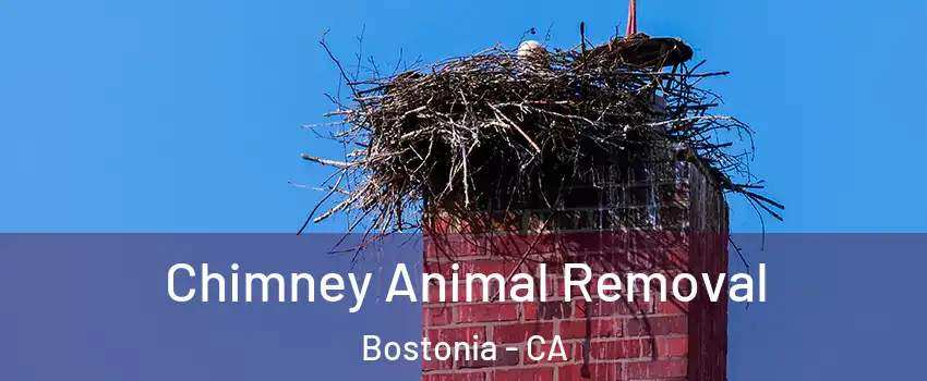  Chimney Animal Removal Bostonia - CA