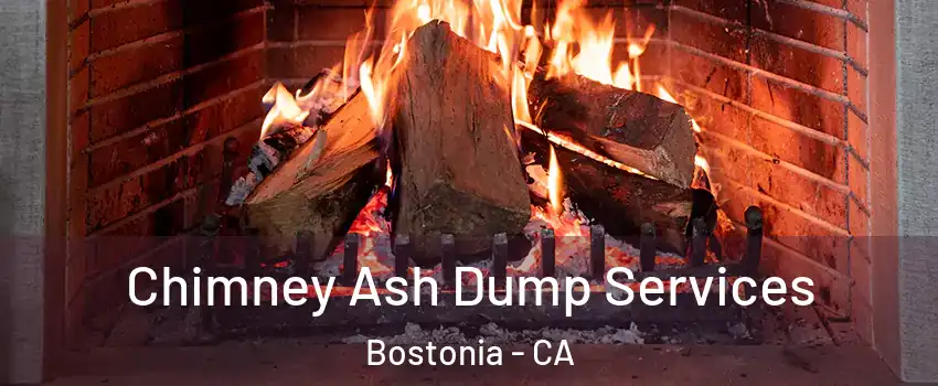  Chimney Ash Dump Services Bostonia - CA