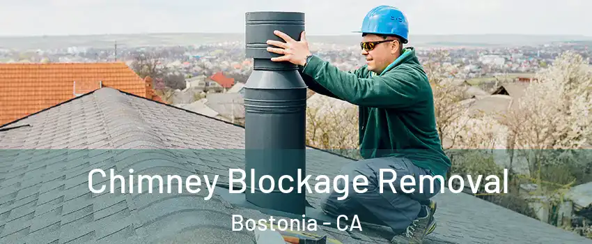  Chimney Blockage Removal Bostonia - CA