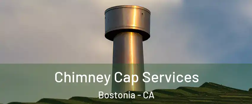  Chimney Cap Services Bostonia - CA