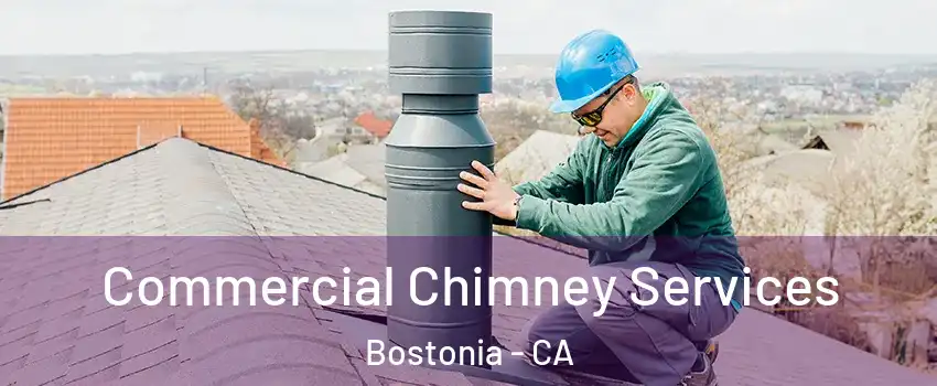  Commercial Chimney Services Bostonia - CA