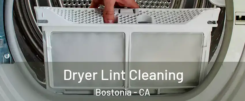  Dryer Lint Cleaning Bostonia - CA