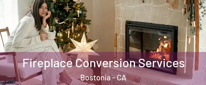  Fireplace Conversion Services Bostonia - CA