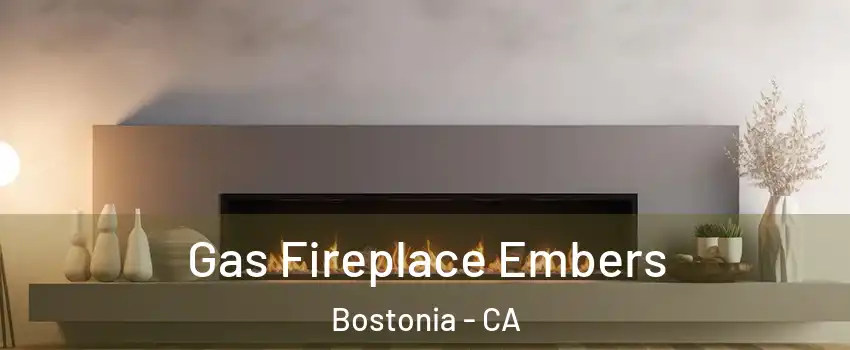  Gas Fireplace Embers Bostonia - CA