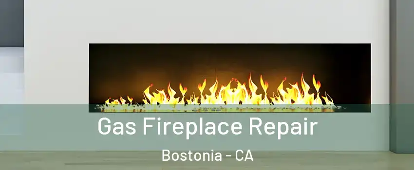  Gas Fireplace Repair Bostonia - CA