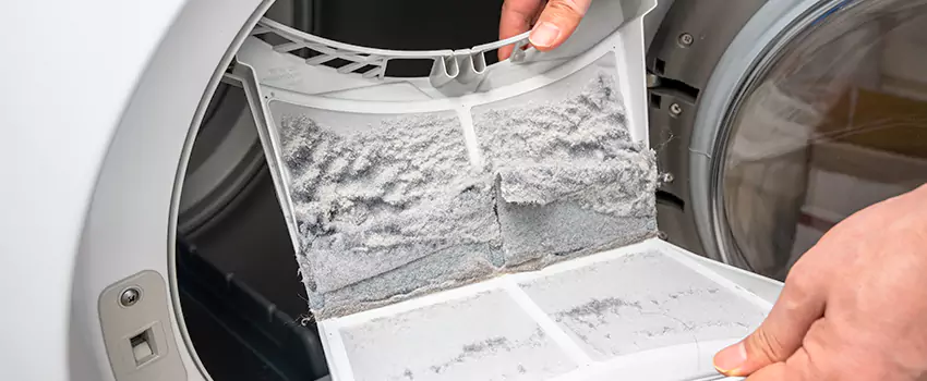 Best Dryer Lint Removal Company in Bostonia, California