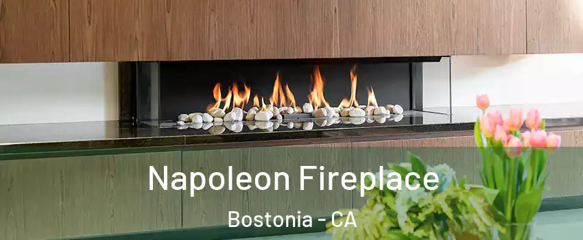  Napoleon Fireplace Bostonia - CA